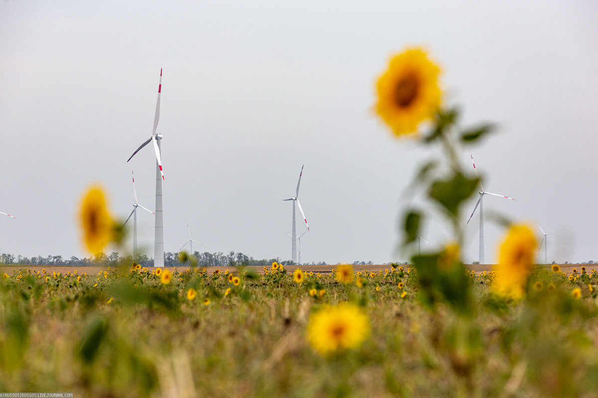 1. Первый ветропарк общей мощностью 150 МВт находится в Шовгеновском и Гиагинском районах Республики Адыгея.


