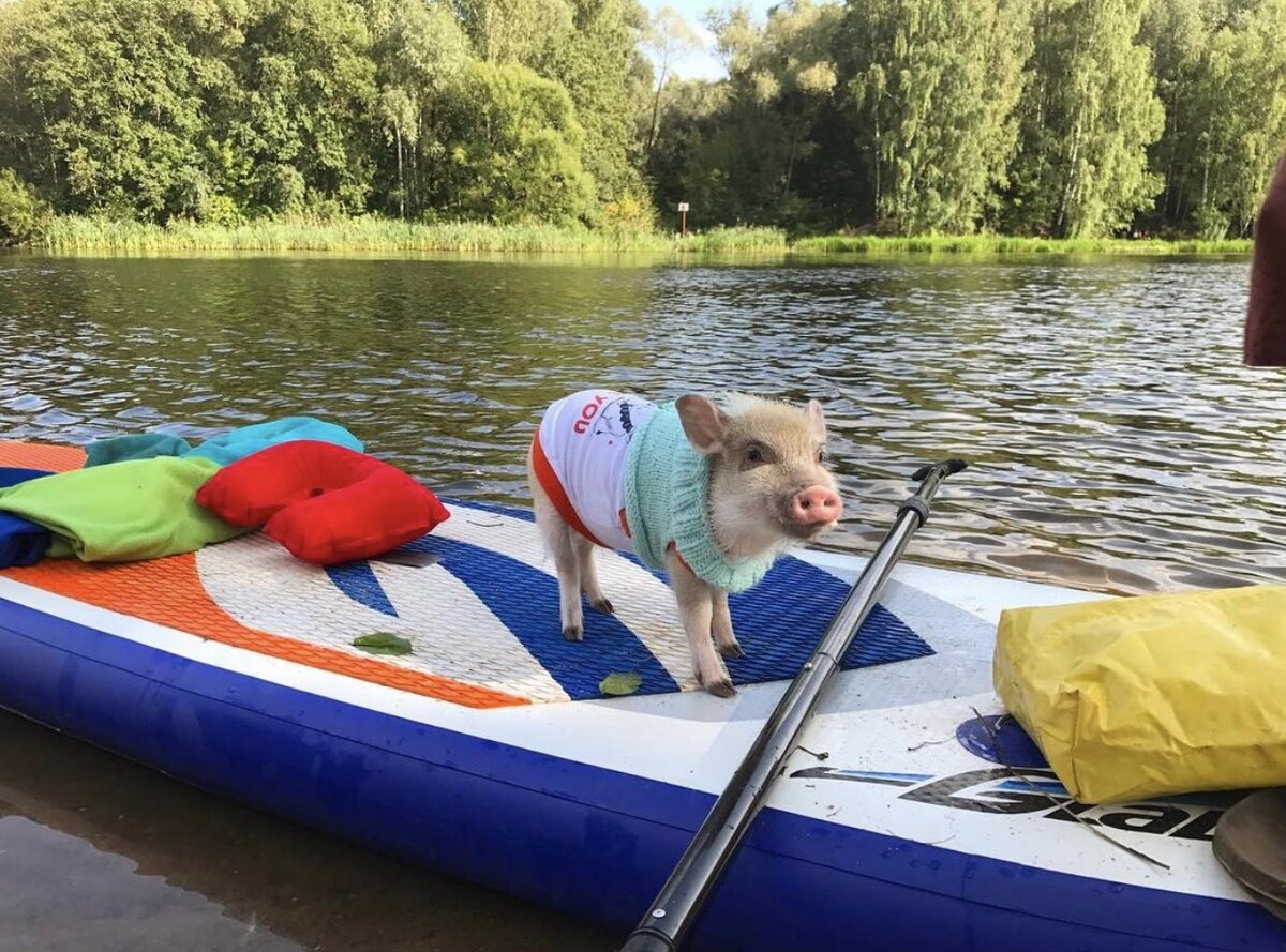 А еще она любит путешествовать