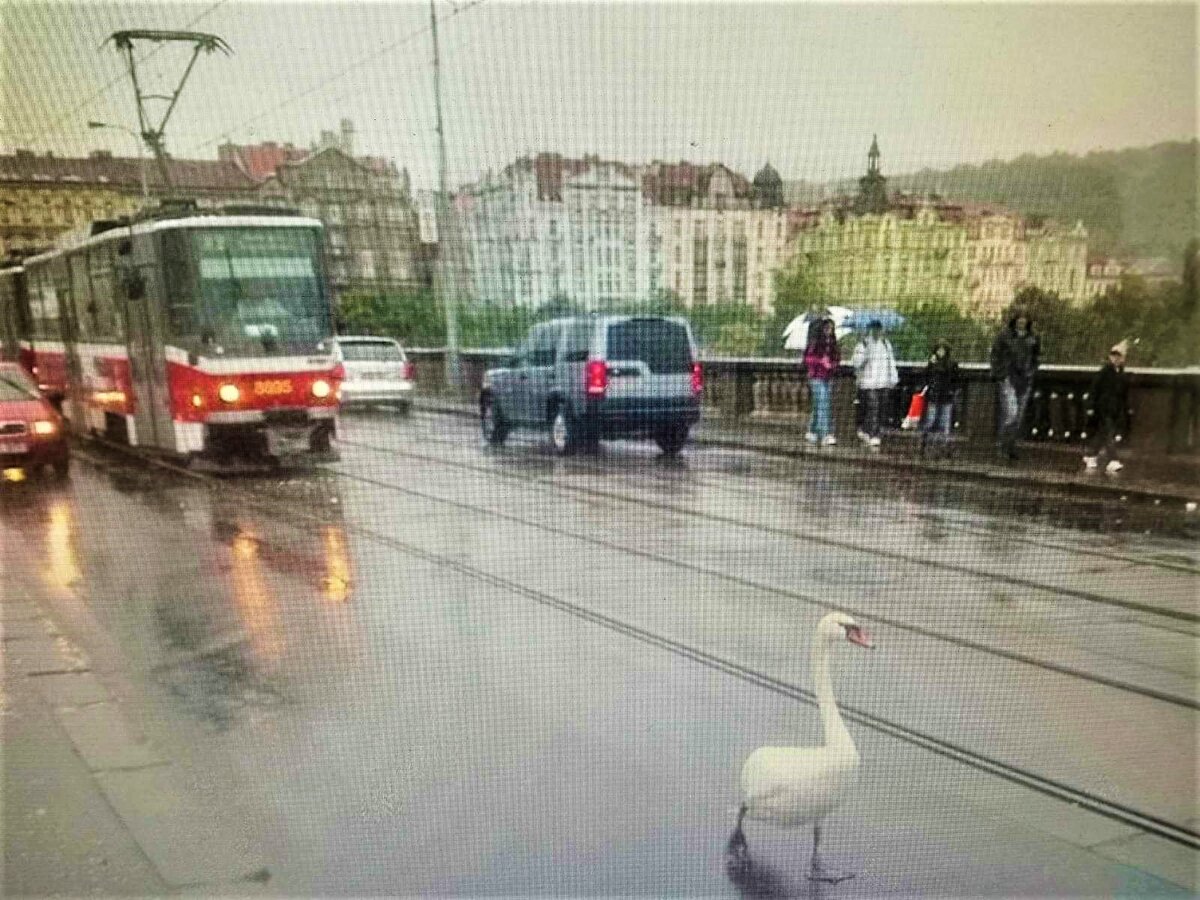 Фото с сайта ежедневника "Метро"