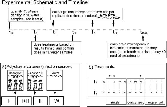 The Sourse: sciencedirect.com/science/article/pii/S2213224418301287 