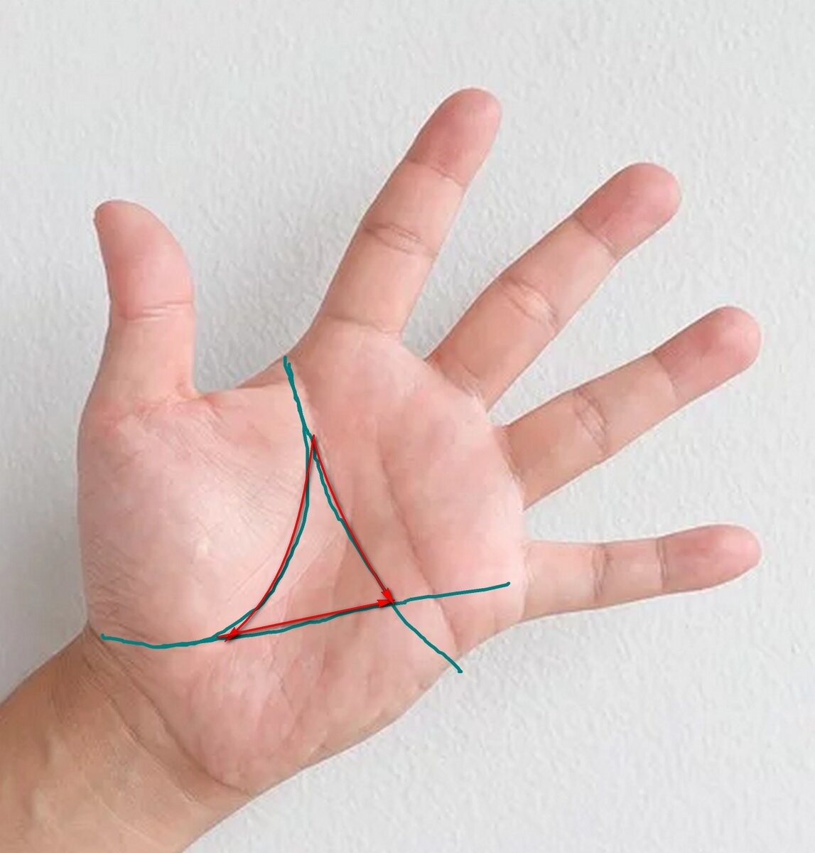 Фото предоставлены сайтом Pixabay.com по лицензии CC0. Дополнено автором.