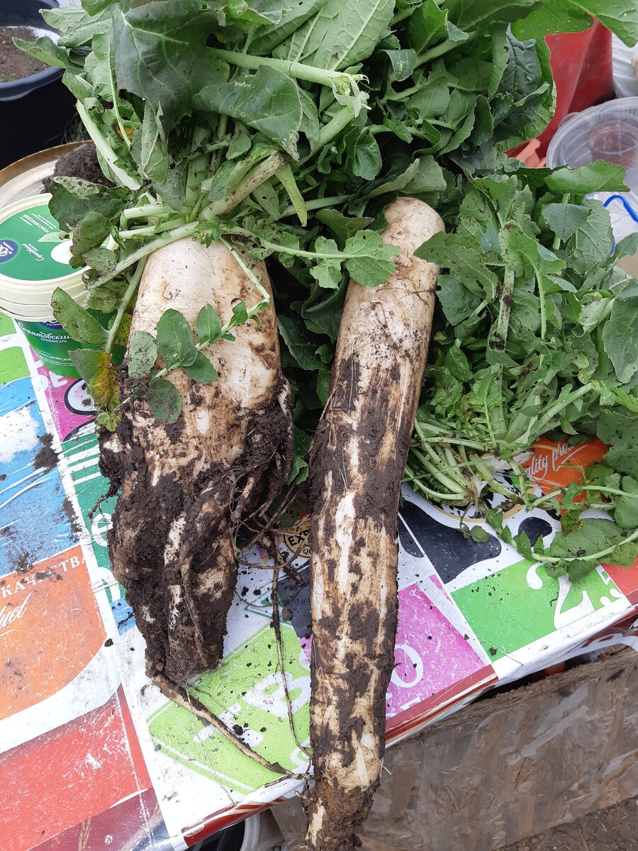 Позируем отдельно)