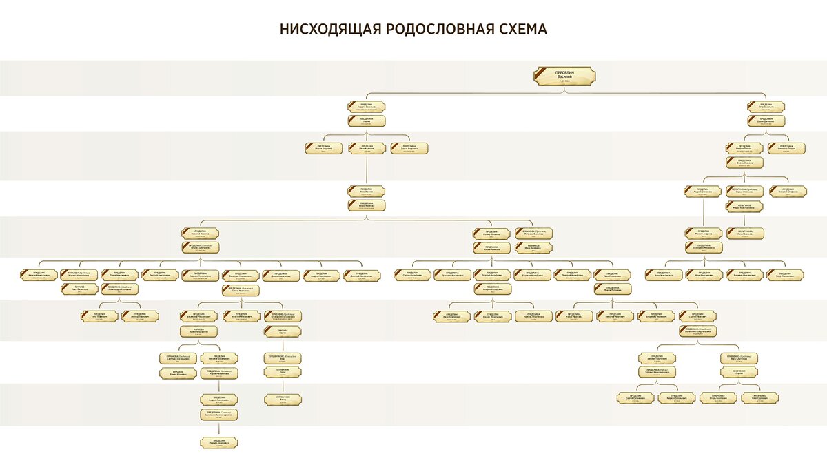 письменный стол с письмами. археограф. письменный стол с книгами. генеалогическая экспертиза. генеалогическая экспертиза.