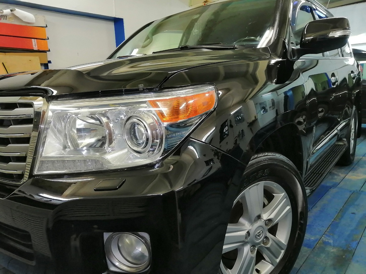 Как можно не любить этого красавца