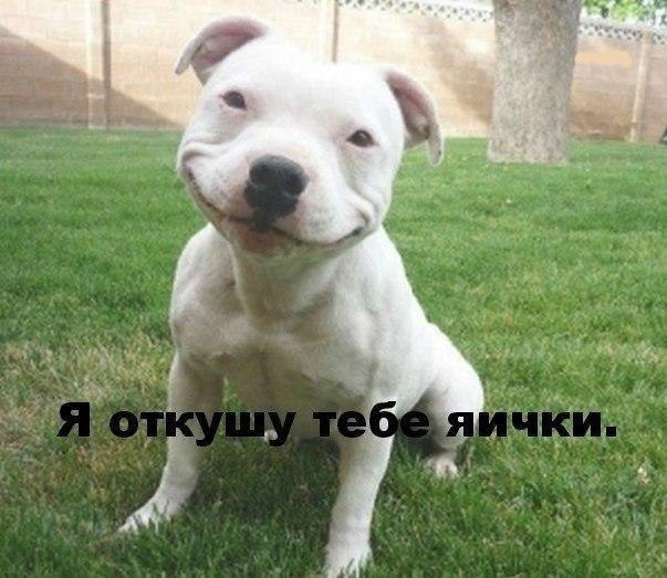 фото из интернета