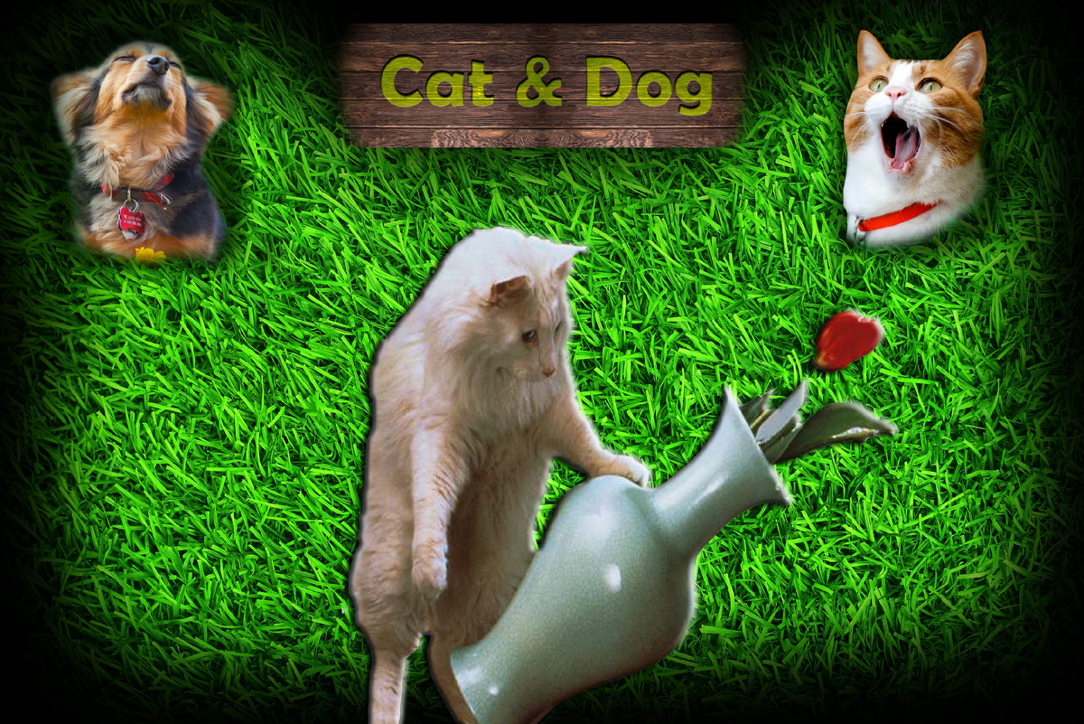 Знай своё место