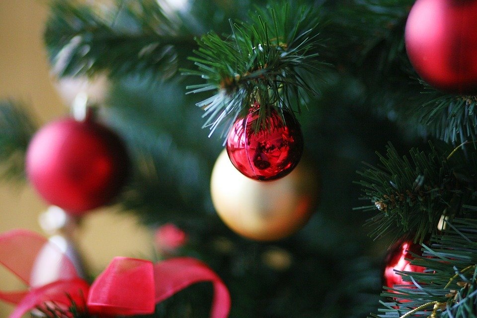 Фото: pixabay.com