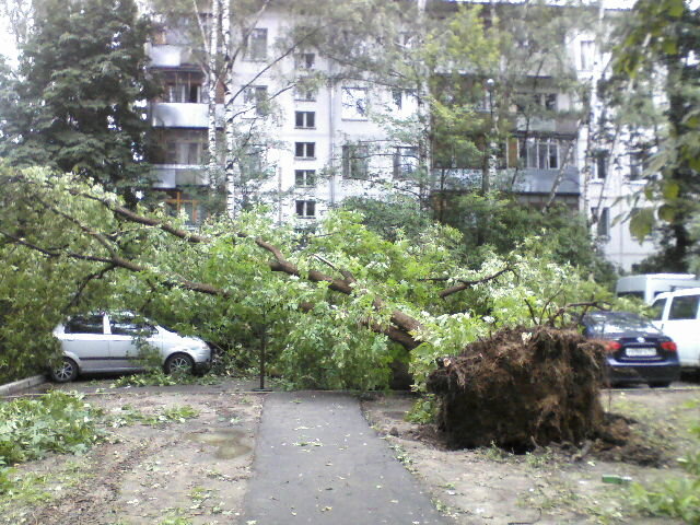 Ураган в мытищах. Ураган в Москве 1998. Ураган, июнь 1998. Ураган в Приозерске 2010.