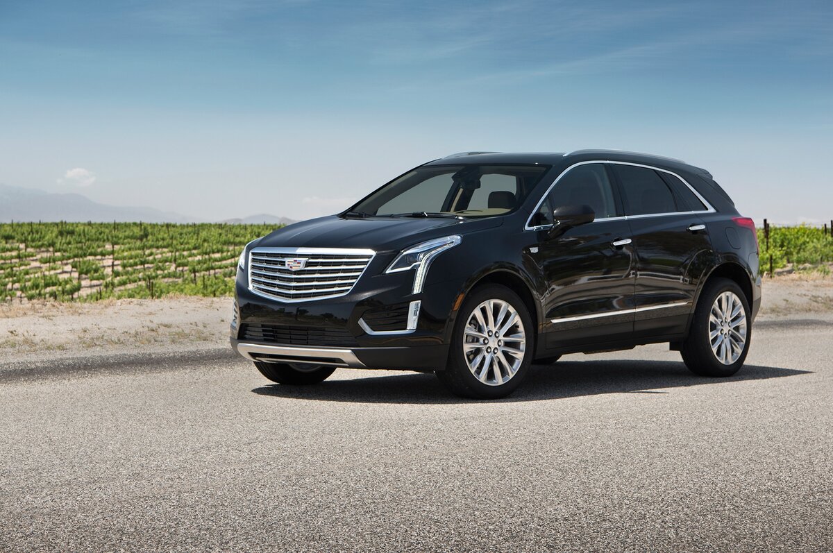 Фото взято из Яндекс Ресурса