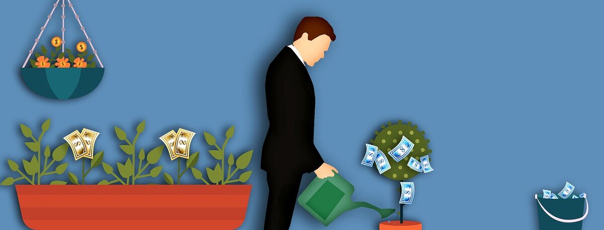 источник pixabay.com