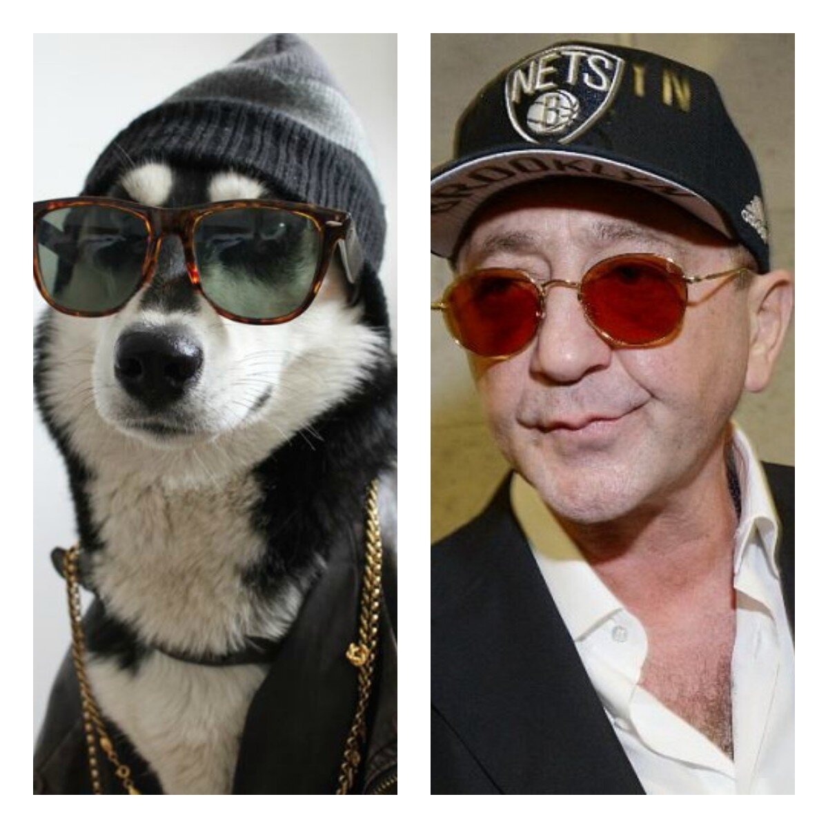 Так-с! А здесь у нас пес! Но он тоже похож!