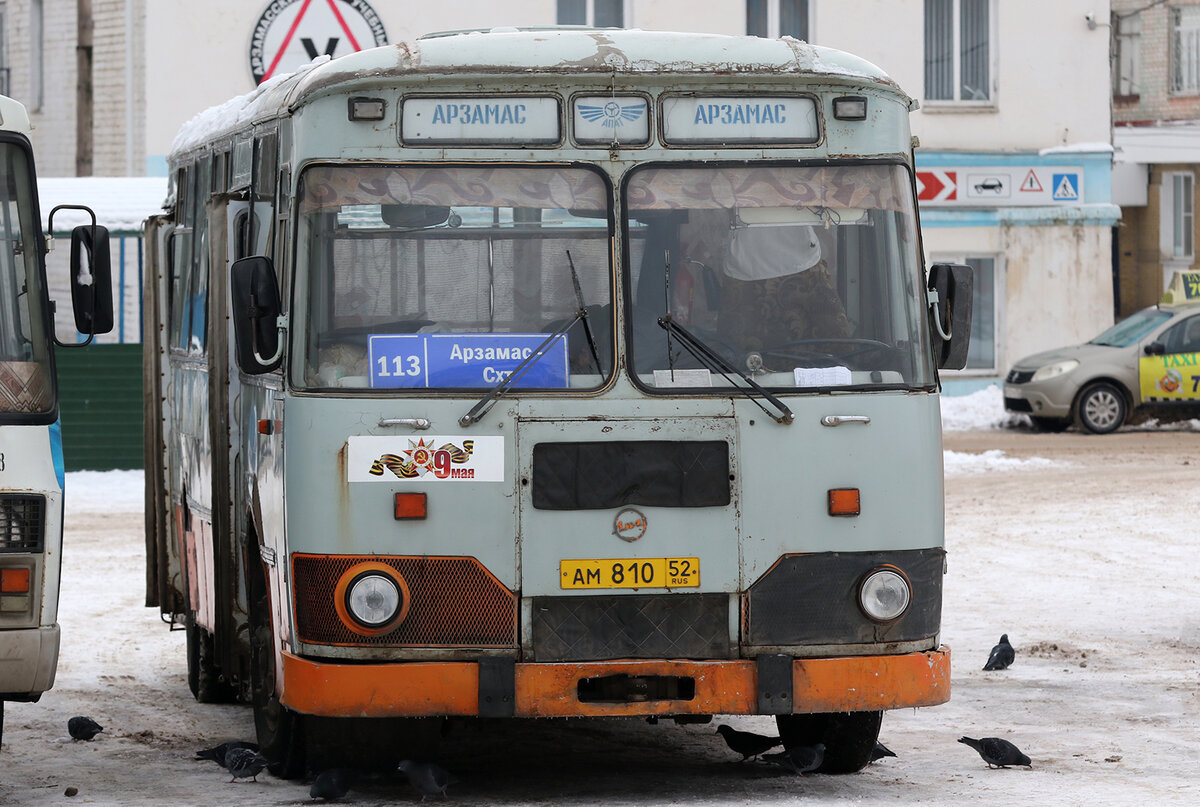 В Арзамас на поиски 