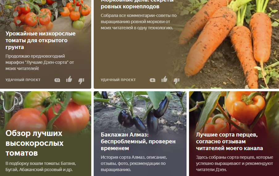 Фрагмент моего канала, есть ещё обзоры, кабачков, картофеля, капусты, укропа и др.