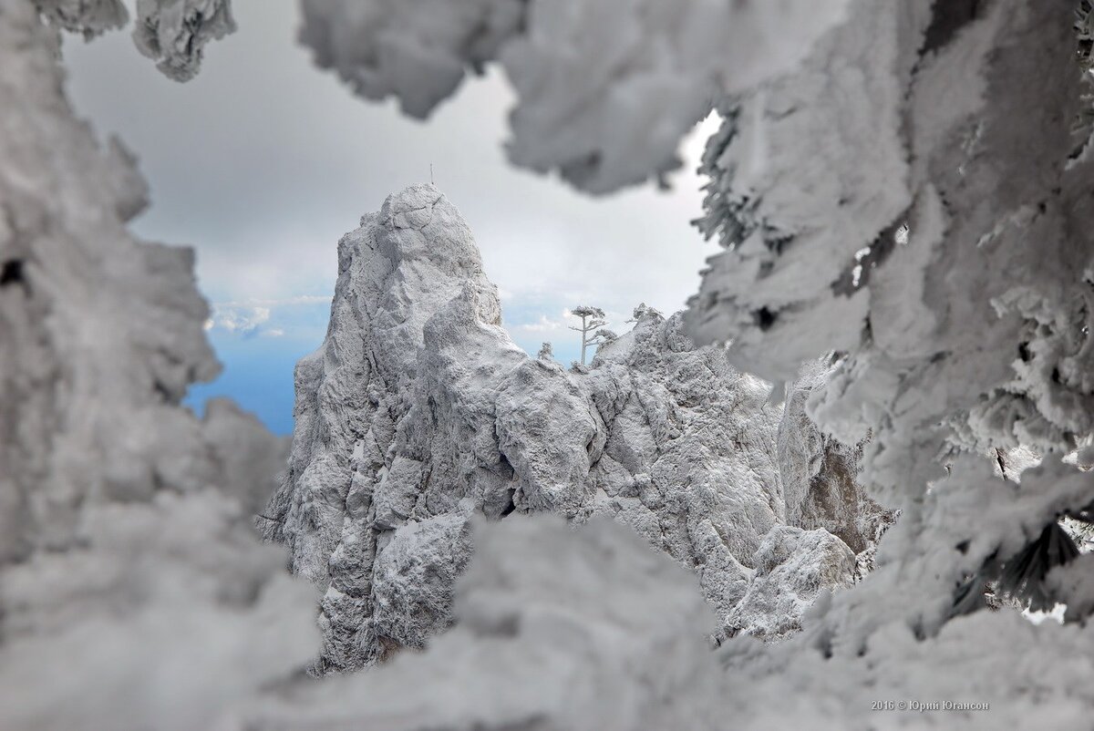 Снег на Ай-Петри / Фото: Юрий Югансон
