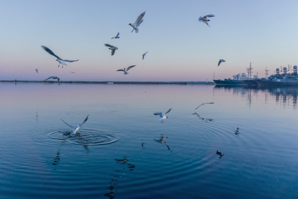 Фото Анна Сергеенкова