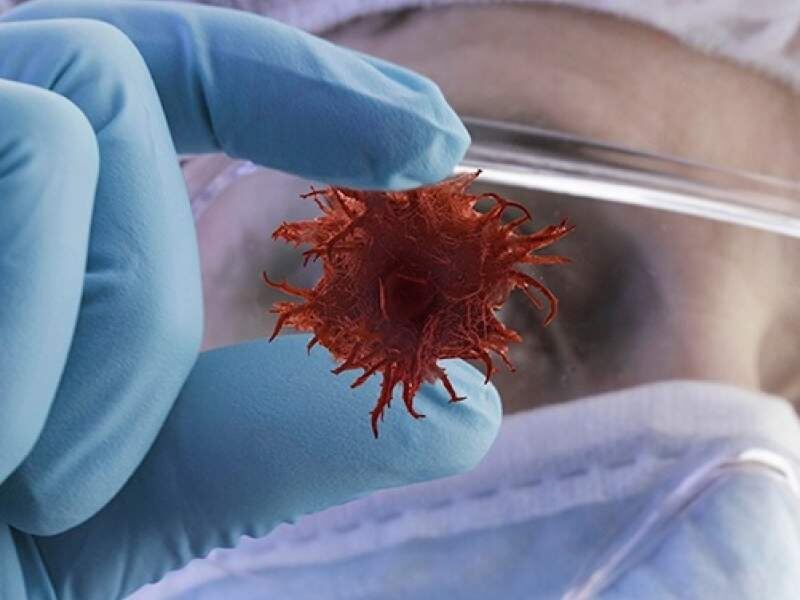 Источник: doctorall.ru