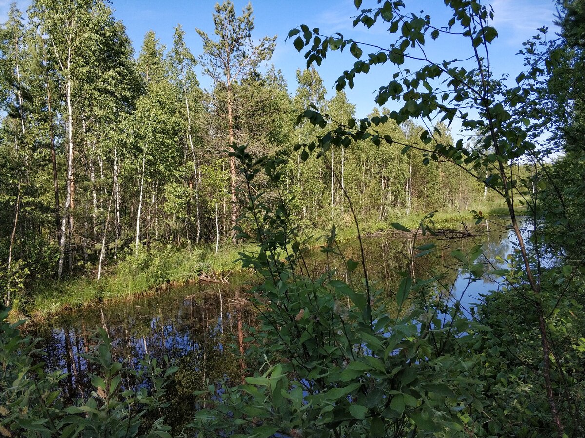 Красота, экология и доехать можно