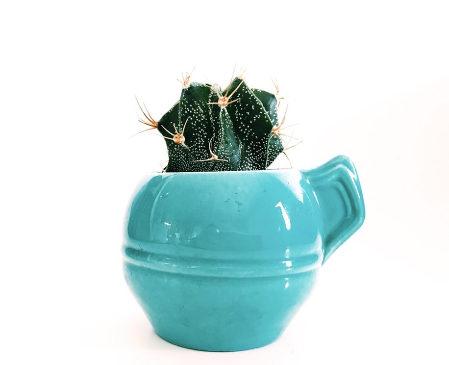 https://unsplash.com/photos/ZO_tXe8Tinw