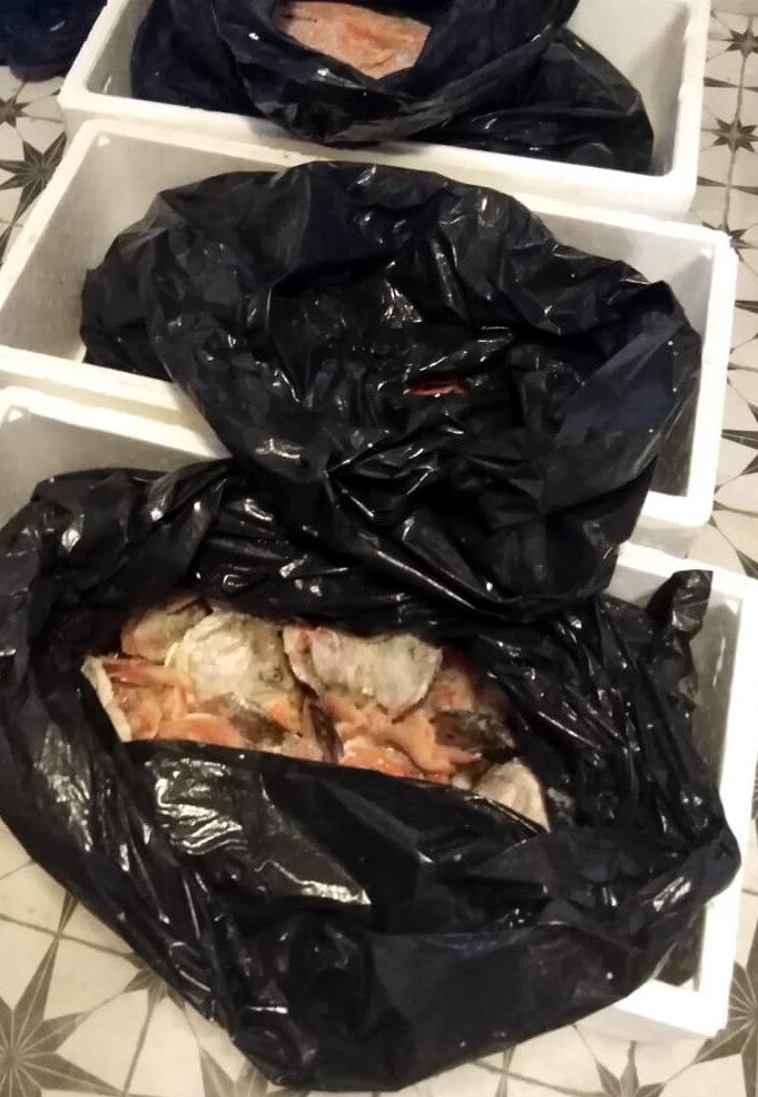 Лосось: головы, хребты, обрезь.