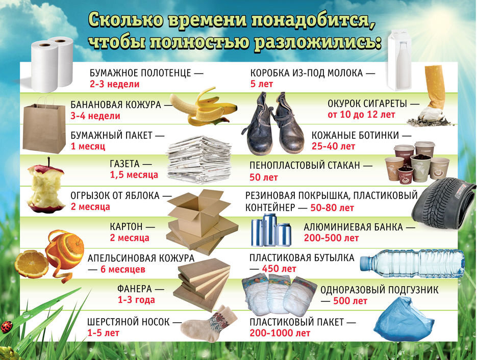 Сколько времени понадобится, чтобы полностью разложилось...( фото из открытых источников я картинки)