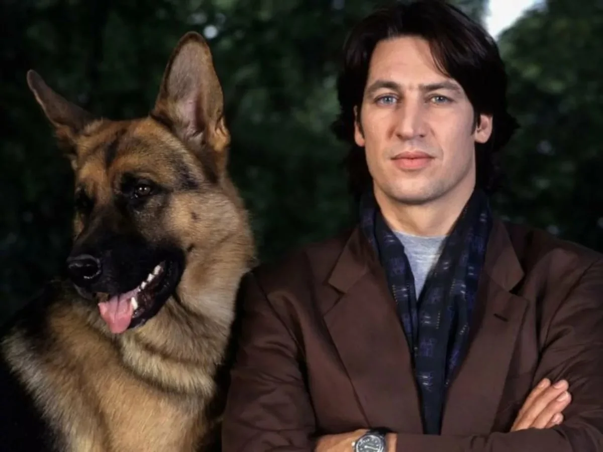 Кадр из сериала "Комиссар Рекс"