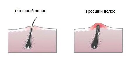 Фото: yandex.ru