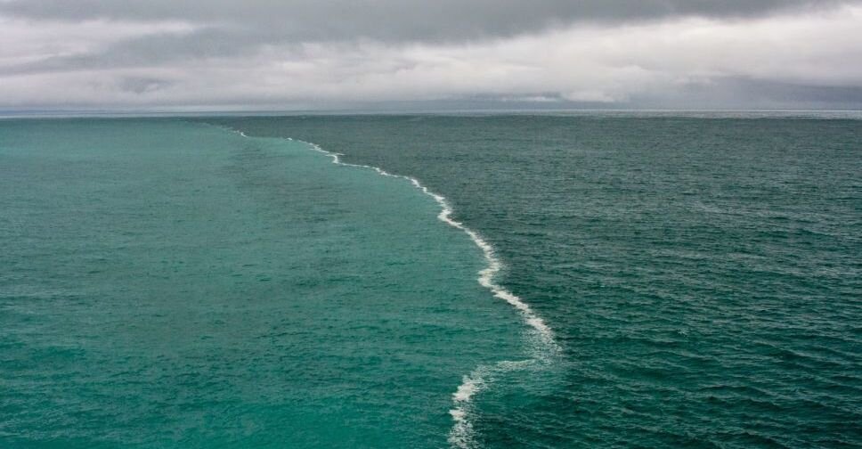 Глаза цвета океана. Глаза два моря. Море без волн. Глаза океан. Глаза женщины.