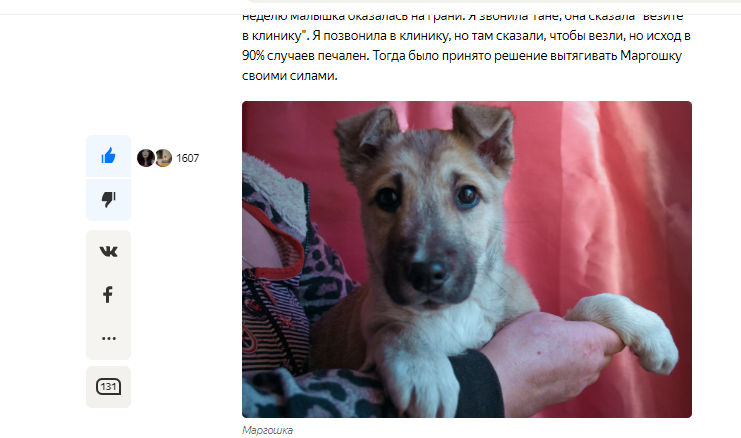 Маргошка