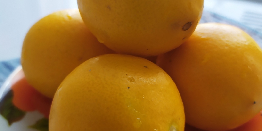 Чудо Средней Азии : ташкентский лимон ( часть 2)