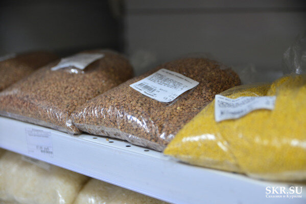 Фото: Дмитрий Дьяченко