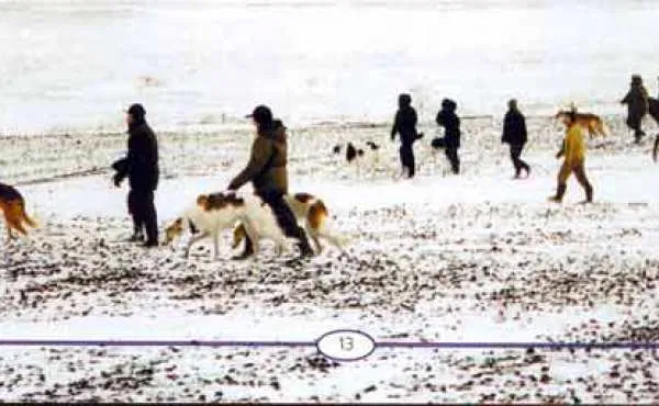 Фото Владимира Киселёва