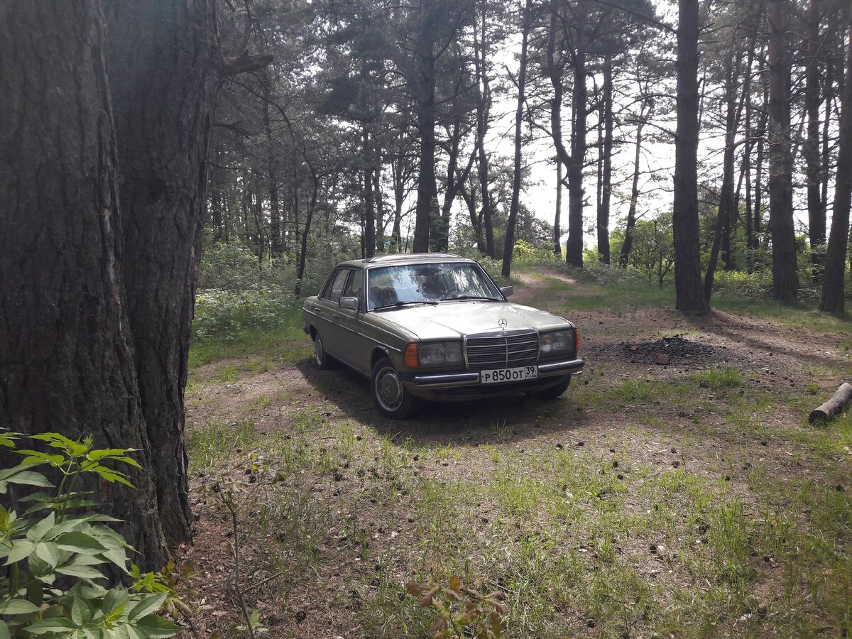 Надежность данного авто выше всяких похвал , несмотря на возраст. Внешний вид по мне - отличный.