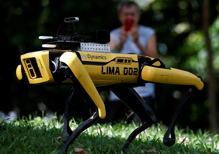 Фото взято из открытого доступа.