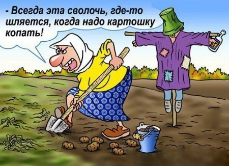 источник фото http://top-gid.ru/