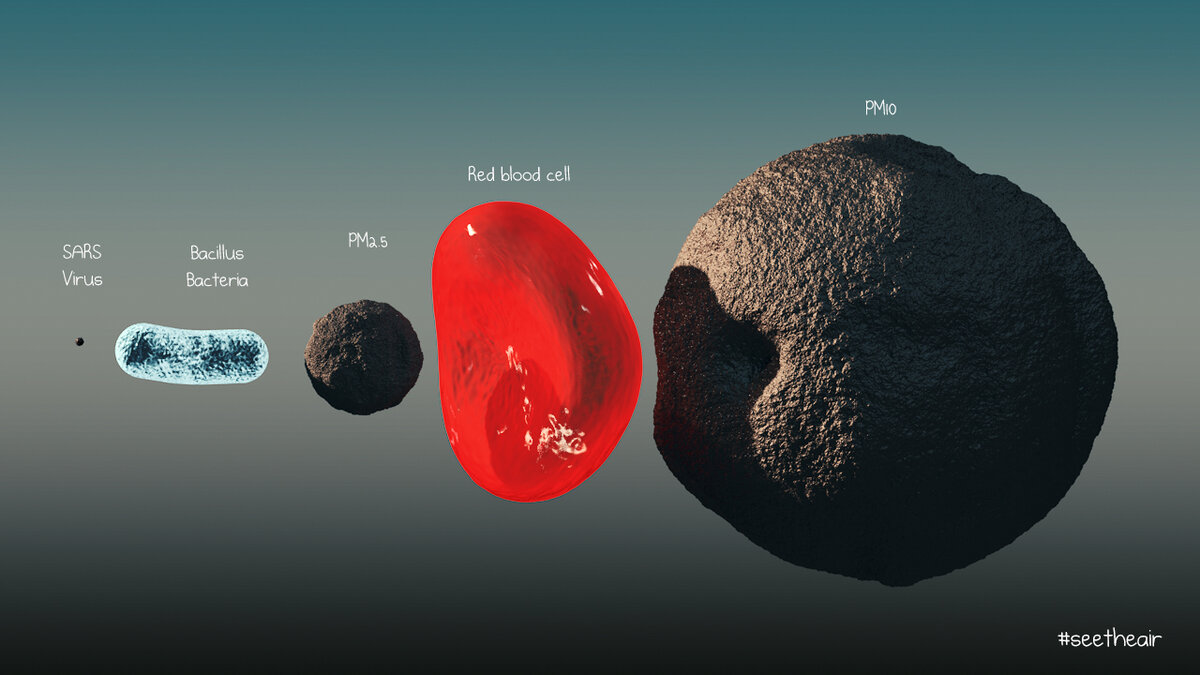 Сравнение размеров Covid-19 (слева направо: вирус, бактерия, пылинка размером 2,5 мкм, красная кровяная клетка, пылинка размером 10 мкм)
