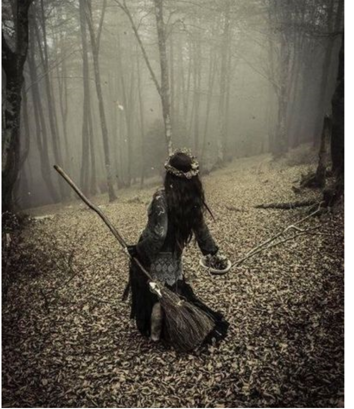 Фото из интернета: https://www.pinterest.ru/pin/2744449761626163/