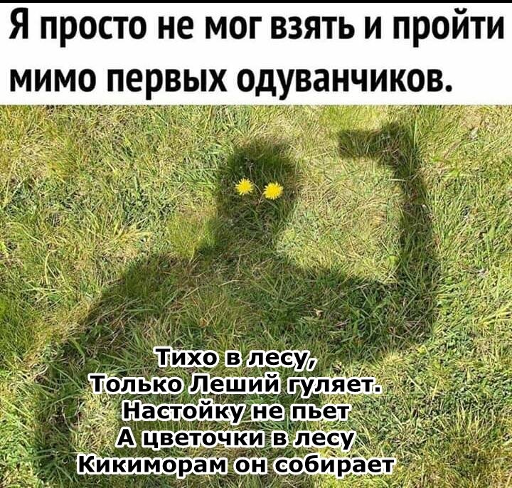 Автор фото и текста - Леший