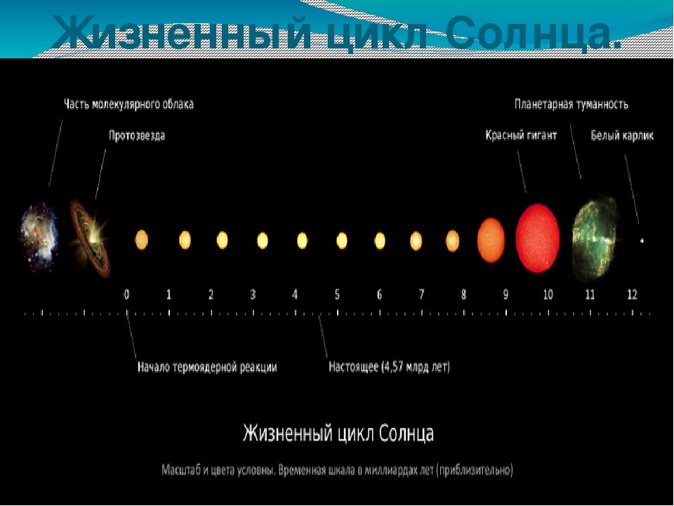 Фото взята из Яндекс Картинки
