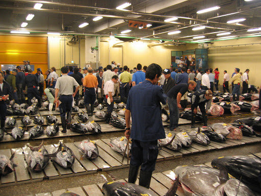 Источник фото: http://reactor.cc/. Крупнейший рыбный рынок в мире в Tsukiji - об этом месте много нам рассказывал Антон.