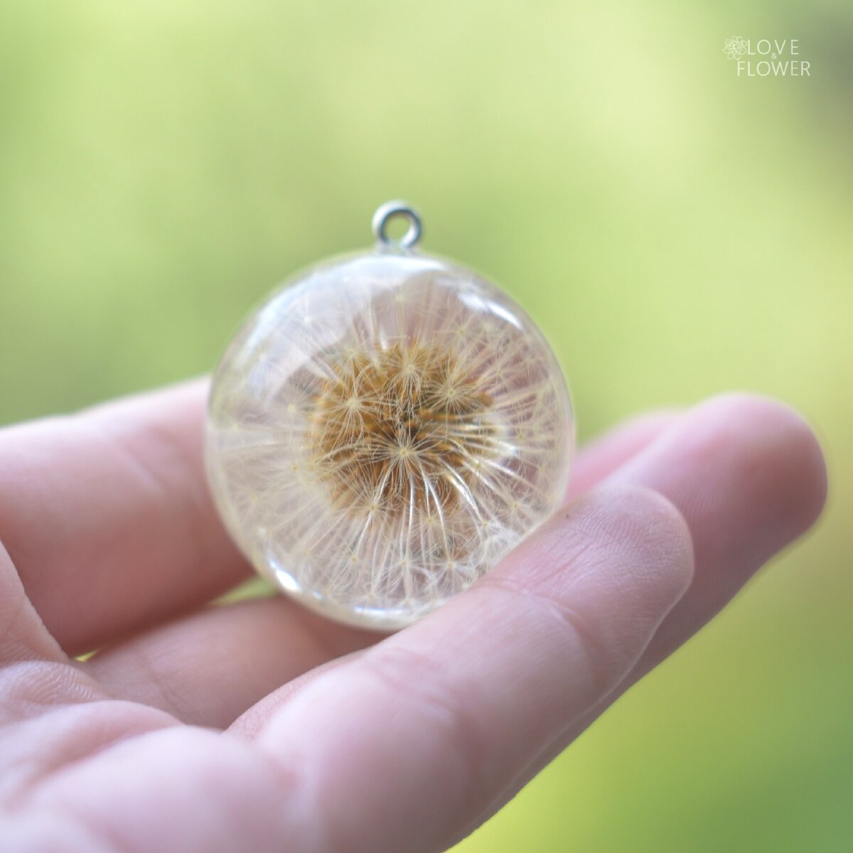 Одуванчик в смоле