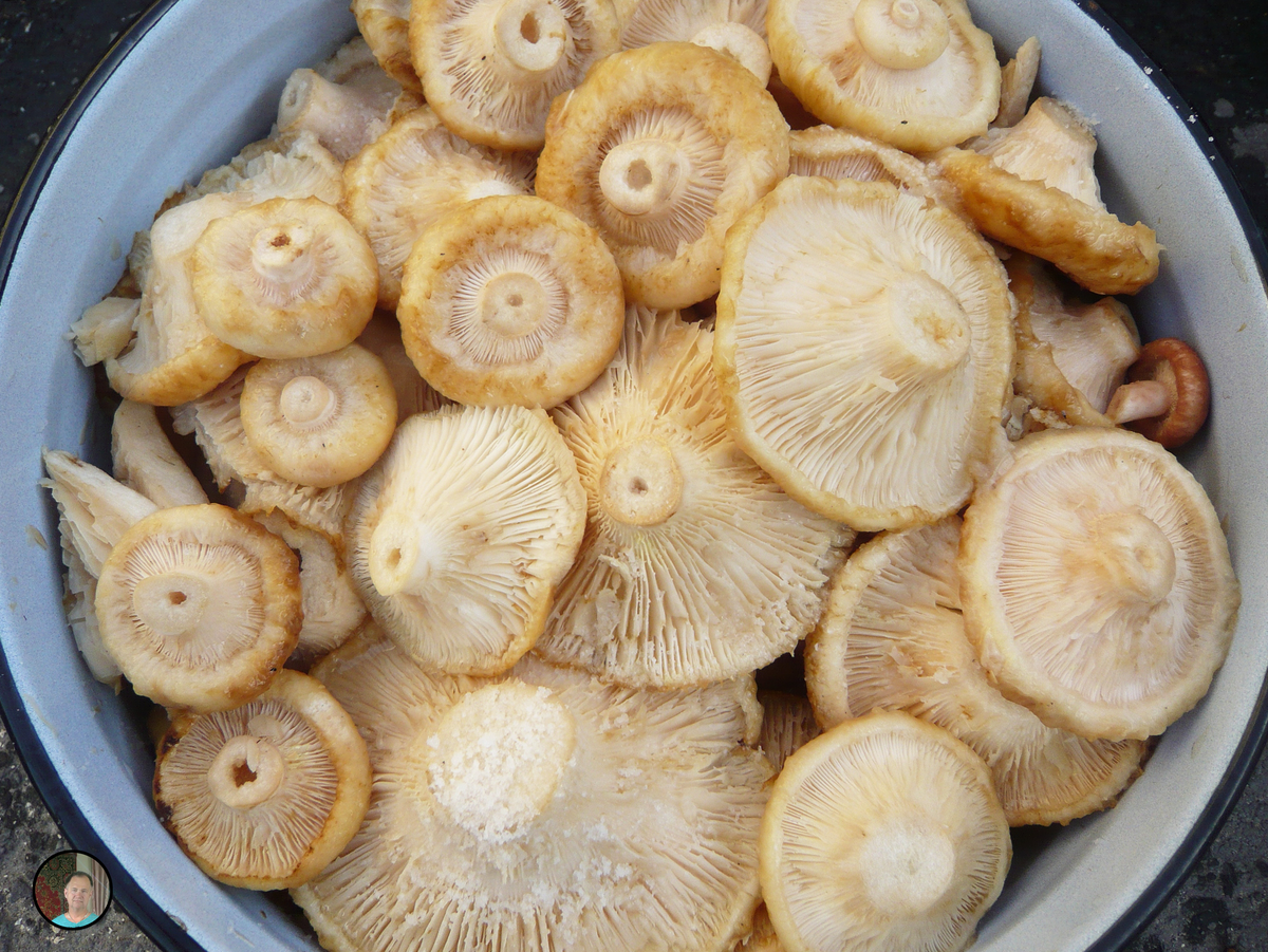 Подготовка к засолке