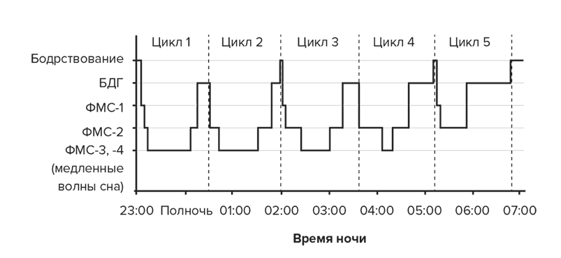 Главное открытие онейрологии которое повлекло развитие данной области медицины, было совершено в конце 1952 года. Учеными Чикагского университета Н. Клейтманом и  Ю. Асерински, в ходе исследований у пациентов- добровольцев, были обнаружены регулярные циклы сна. 