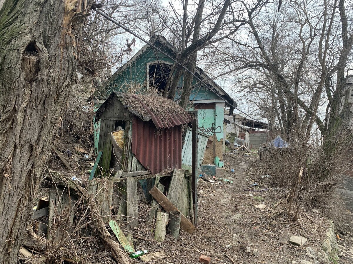 Богудония в огне | Вестник Общественного Собрания | Дзен