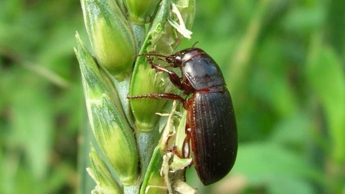 Фото: propozitsiya.com