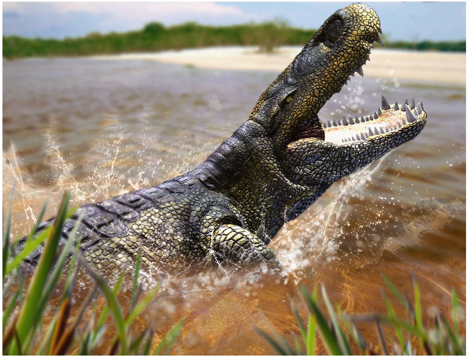 Древняя рептилия в анапе. Purussaurus Brasiliensis. Пурусзавр крокодил. Кайман пурусзавр. Крокодил Саркозух.