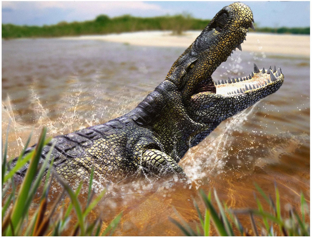 Пурусзавр крокодил. Гигантский Кайман пурусзавр. Purussaurus Brasiliensis. Пурусзавр доисторические крокодил.