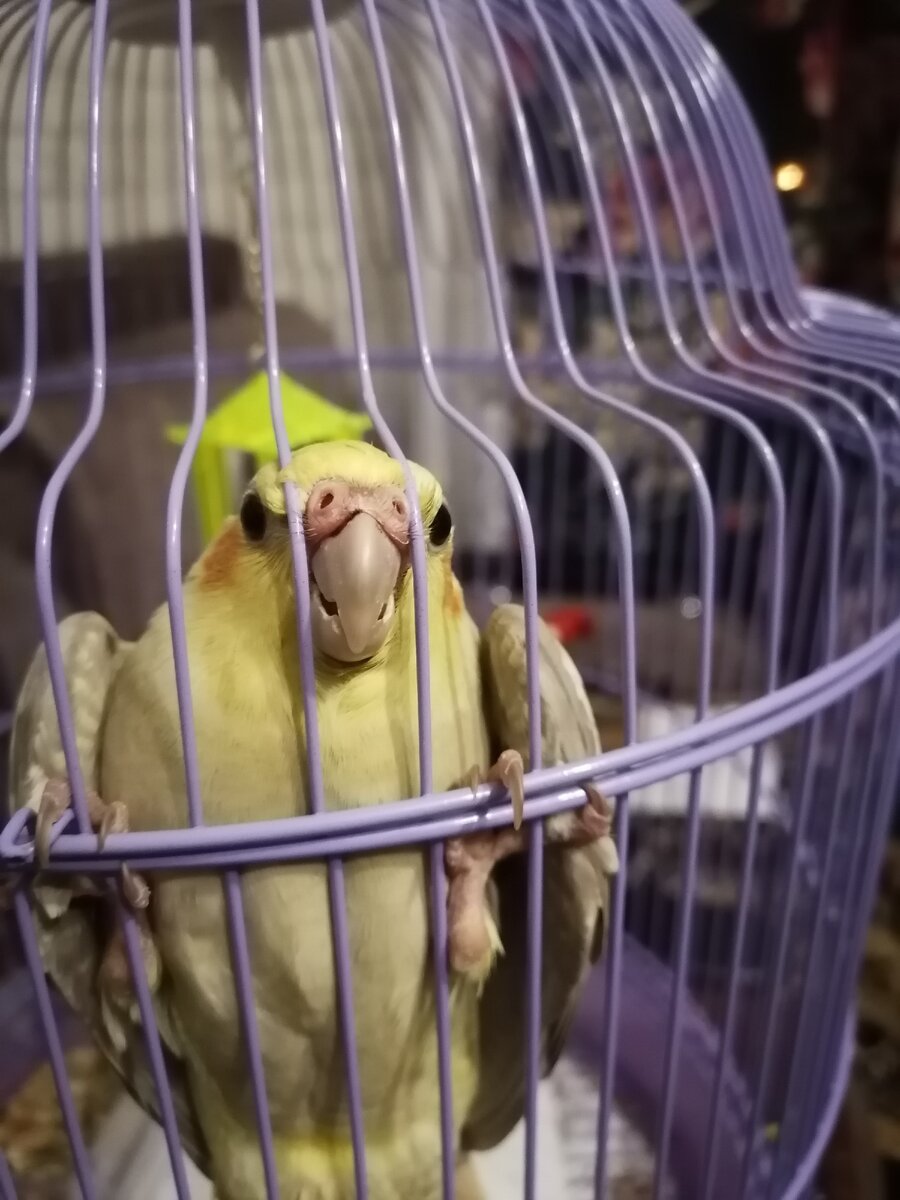 Охотник на пальцы