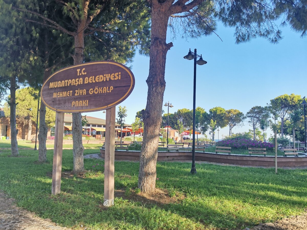 И попадаете на территорию кафе