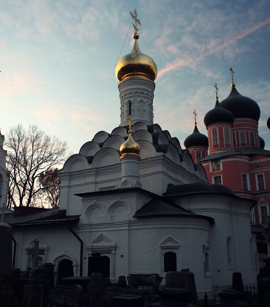 Донской монастырь большой собор фото