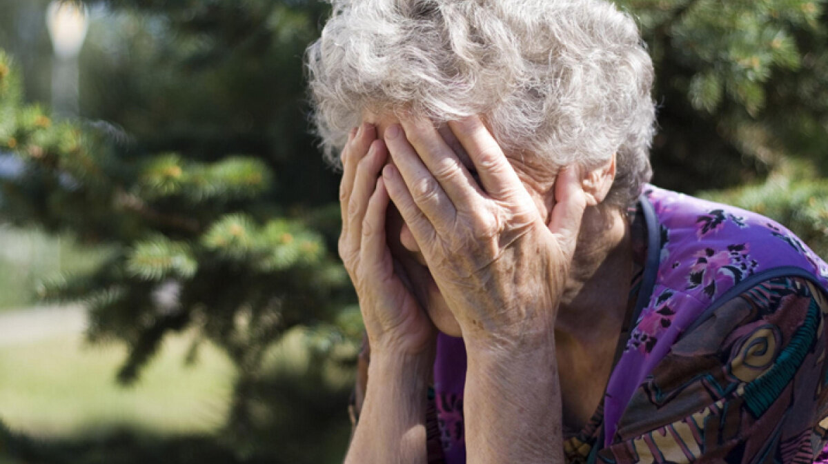 Фото взято из открытых источников